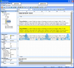 TRichView in ReportBuilder