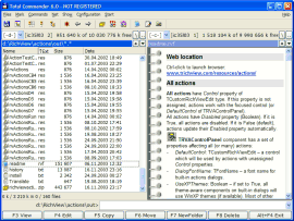 Total Commander plugin for viewing RVF files